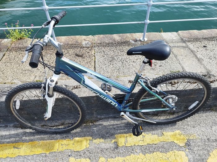 Mountain Bike (Step through)
