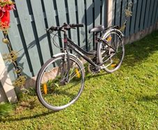ladies bicycle
