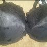 Brand new in a box Nipplex Felicia Big black bra size UK38F EUR85F Postage included Image 3