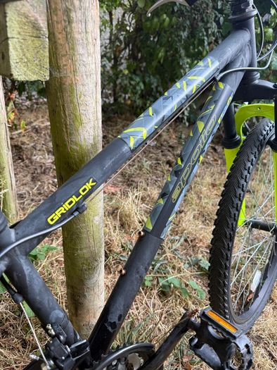 junior mountain bike