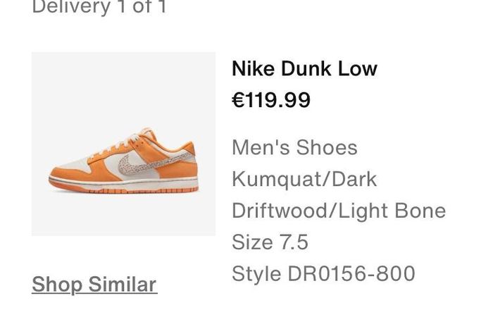 Nike Dunk Low "Safari Swoosh Kumquat" (UK 7.5 / EUR 42)