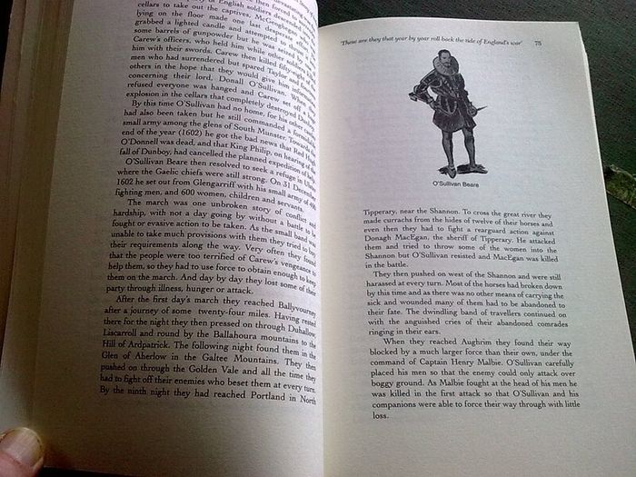 A story of Ireland The people and events that shaped the country Irish history