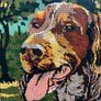 Vintage Needlepoint Tapestry Featuring a Red Irish Setter Image 2
