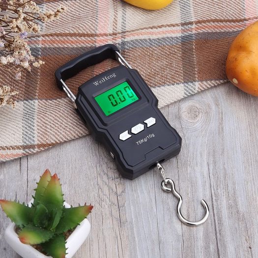 BRAND NEW 75Kg/10g Electronic Weighing Scale LCD Digital Display Hanging Hook Scale with Measuring Tape for Fishing Travel