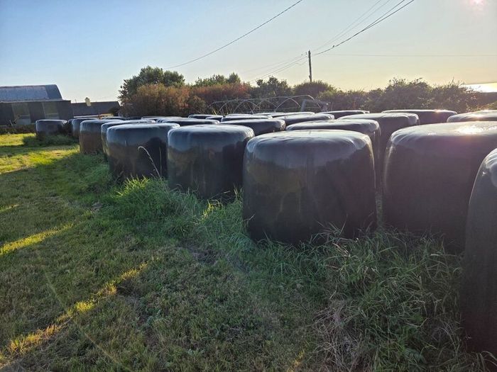 Silage Bales