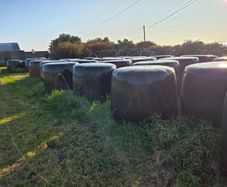 Silage Bales