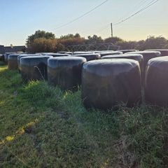 Silage Bales