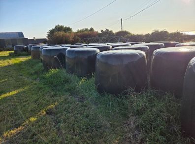 Silage Bales