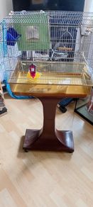 bird cage