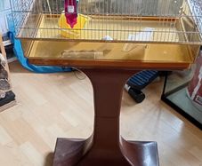 bird cage