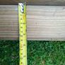 Wooden fence posts Image 4
