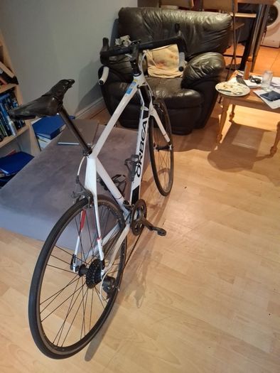 Orbeo carbon frame road bike, XL frame, recently serviced and in excellent condition