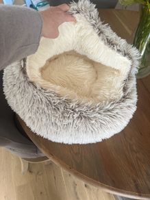 cat bed