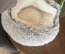 cat bed