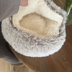 cat bed