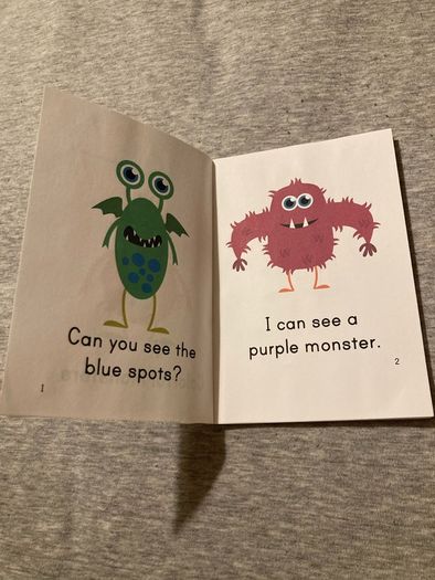Mini books