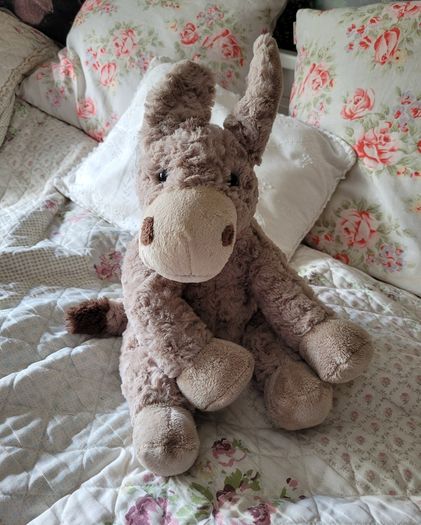 Gorgeous donkey teddy