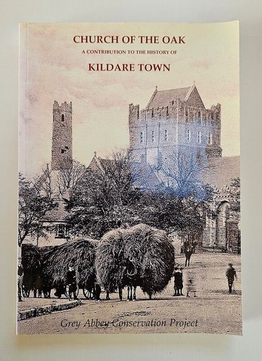 Church of the Oak Kildare Town - Kildare History Book - Irish History Book