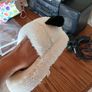 slippers Image 4