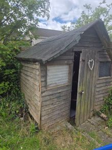 Free Shed / Wood