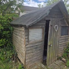 Free Shed / Wood