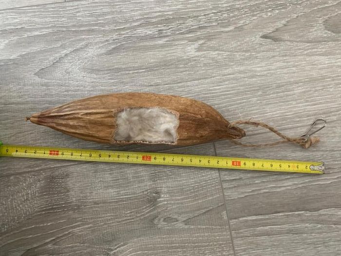 Pet parrot bird accessories mix