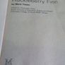 Huckleberry Finn Image 2