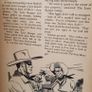 annuals Image 10