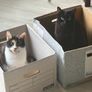 Boxes for moving/storage Image 2
