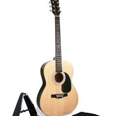 acoustic guitar