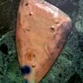 Mid-century enamel on copper Pin tray/Ring dish Image 3