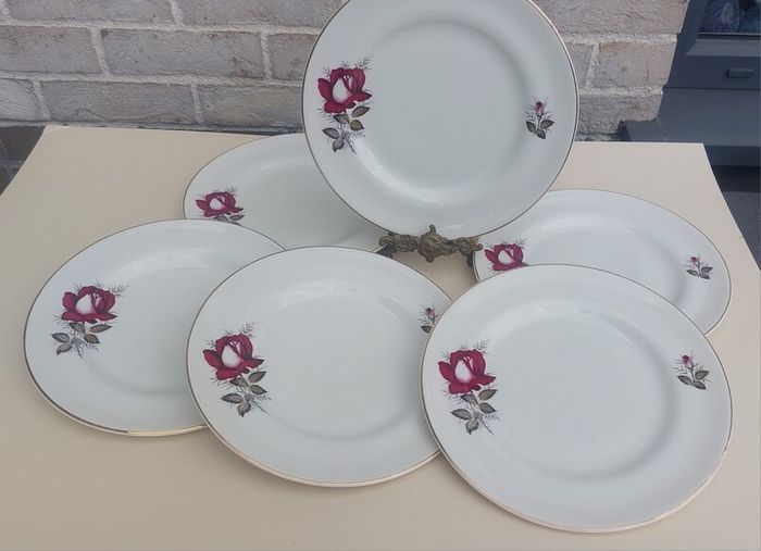 Beautiful Set of Six Large Dinner Plates by Arklow Pottery in the Very Popular and Collectable "Autumn Rose" Pattern