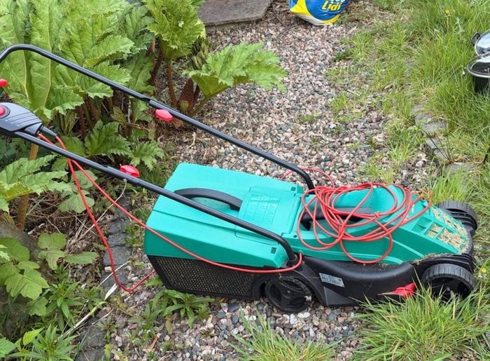 electric lawn mower