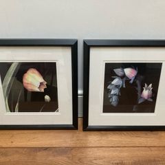 set of framed prints