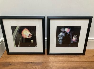 set of framed prints