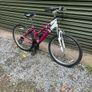 bike Image 5