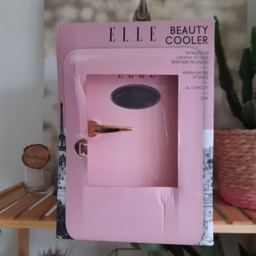 Mini fridge