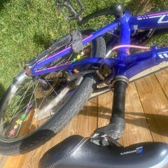 Carrerra 24" girls bike