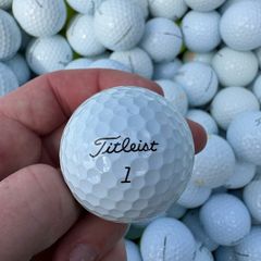 Prov1