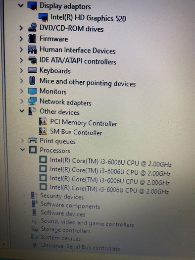 acer
