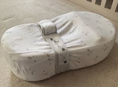 Redcastle Cocoonababy nest