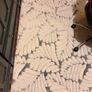 rug Image 5