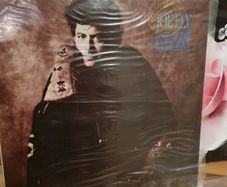 Joe Ely