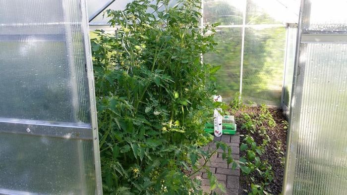 Aluminium Greenhouse, 5.85m