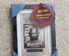 Harry Potter framed print