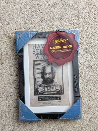 Harry Potter framed print