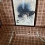 framed print - vintage Image 8