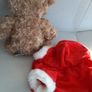 New teddy with red coat tags attached Image 8