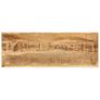 Console Table 110x35x76 cm Solid Mango Wood Image 3