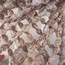 Vintage Boho Seashell Hanging Planter Image 6